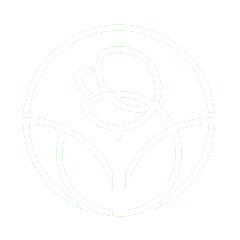 white_rose https://flowerstore.by/wp-content/uploads/2019/08/white_rose.png