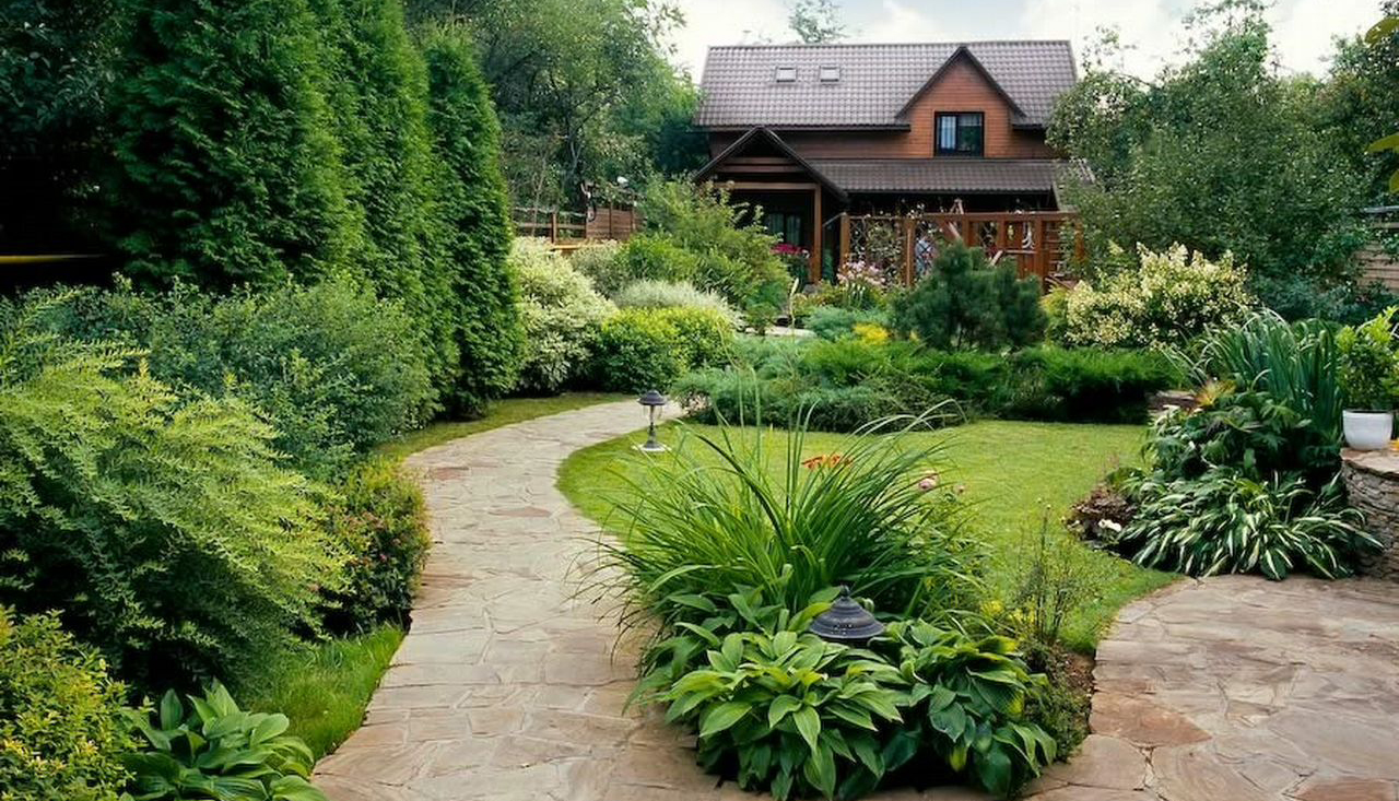 https://flowerstore.by/wp-content/uploads/2021/06/1-3.jpg