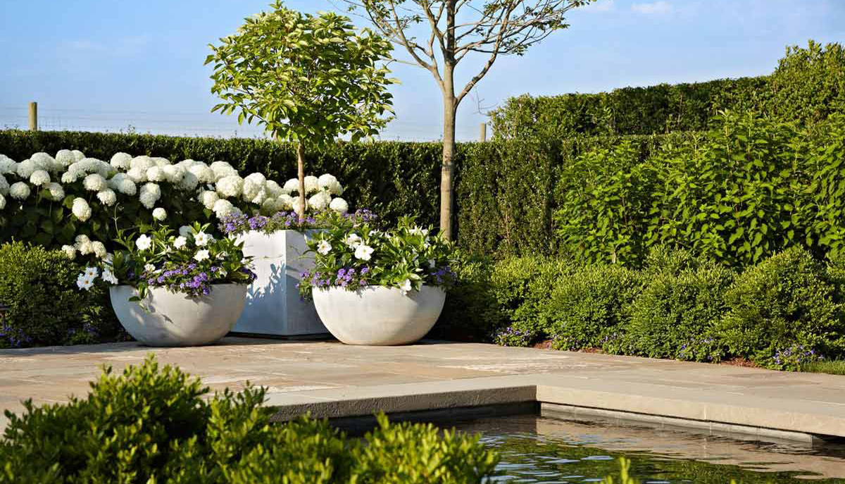 https://flowerstore.by/wp-content/uploads/2021/06/10.jpg