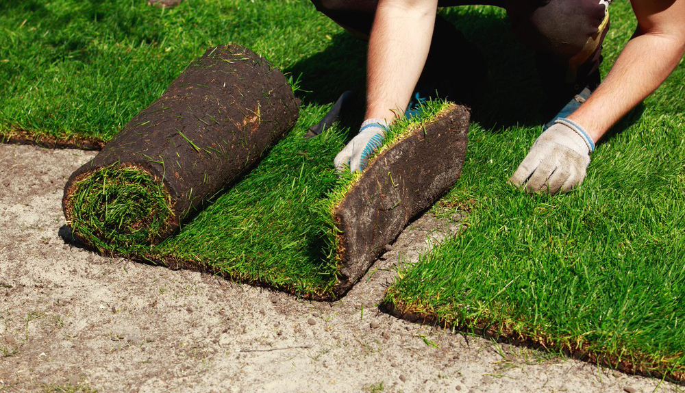 https://flowerstore.by/wp-content/uploads/2021/06/4-1.jpg