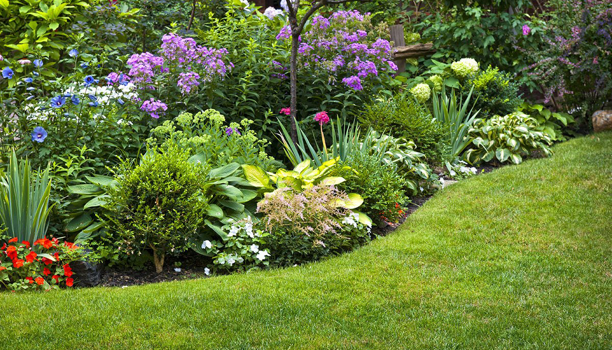 https://flowerstore.by/wp-content/uploads/2021/06/7.jpg